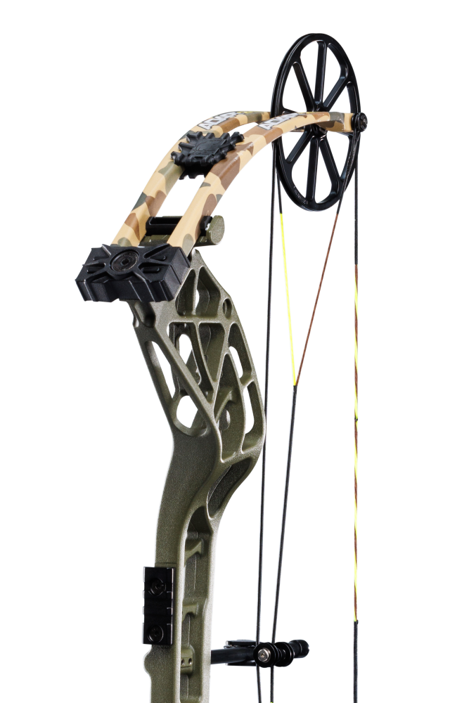 Close up of the Bear Archery Adapt 2 compound bow limbs and single cam system.