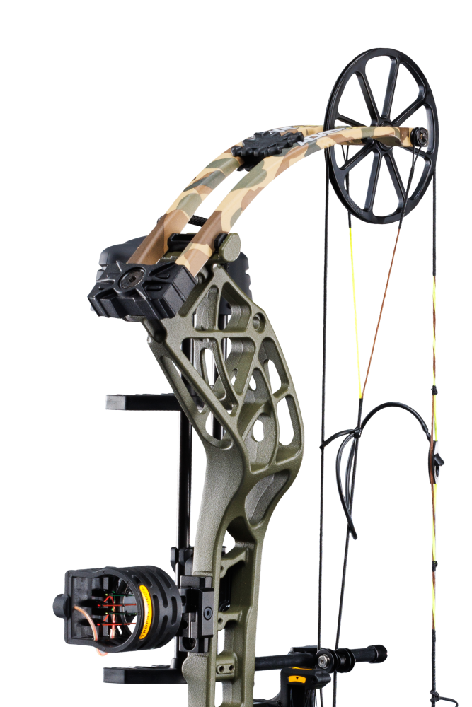 Close up of the Bear Adapt 2 RTH hunting bow limbs and single cam system.