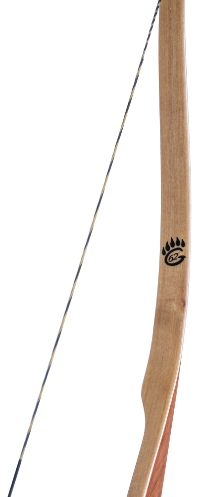 Close up of the Bear Archery G62 logo on Chechen and Jatoba limb.