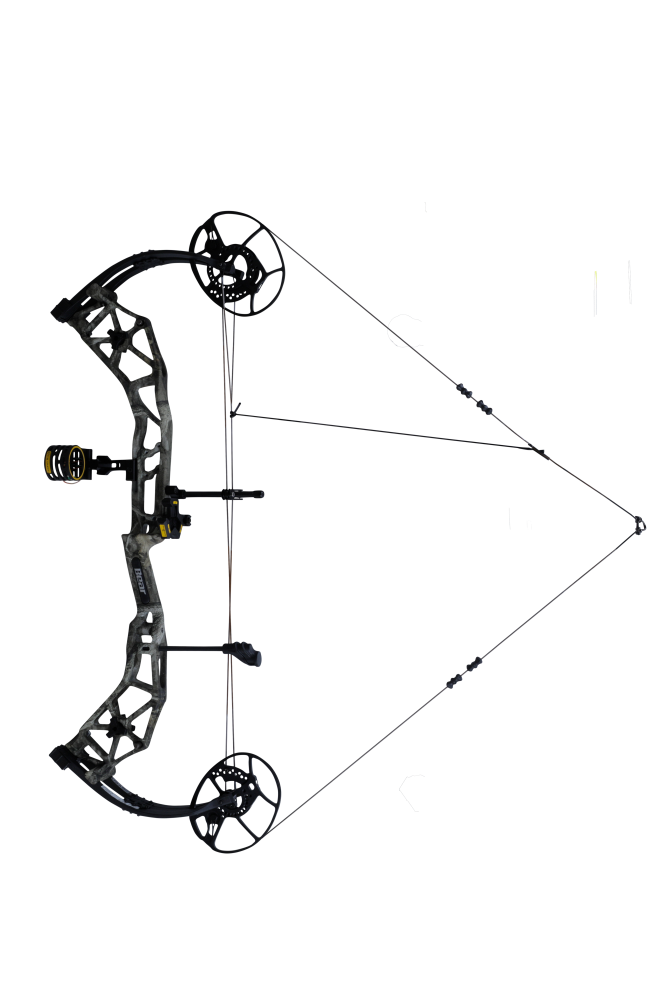 The Bear Archery Paradigm hunting bow at full draw.