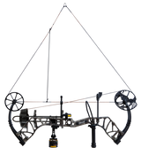 The Bear Archery Species XT single cam compound bow at full draw.