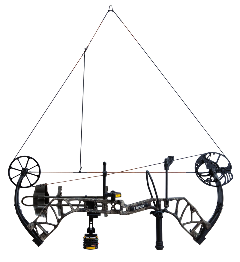 The Bear Archery Species XT single cam compound bow at full draw.