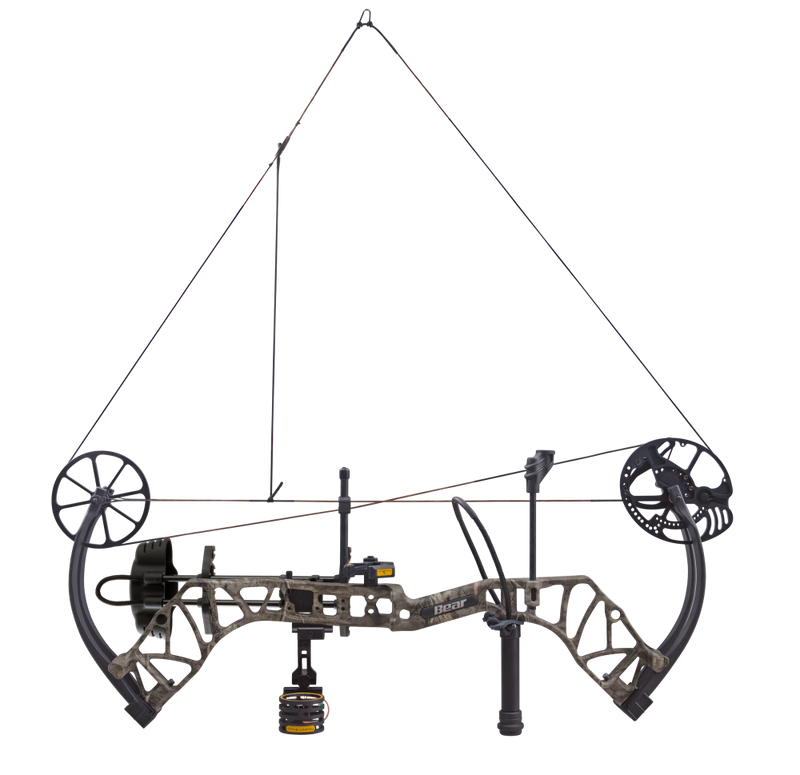 The Bear Archery Species XT single cam compound bow at full draw.