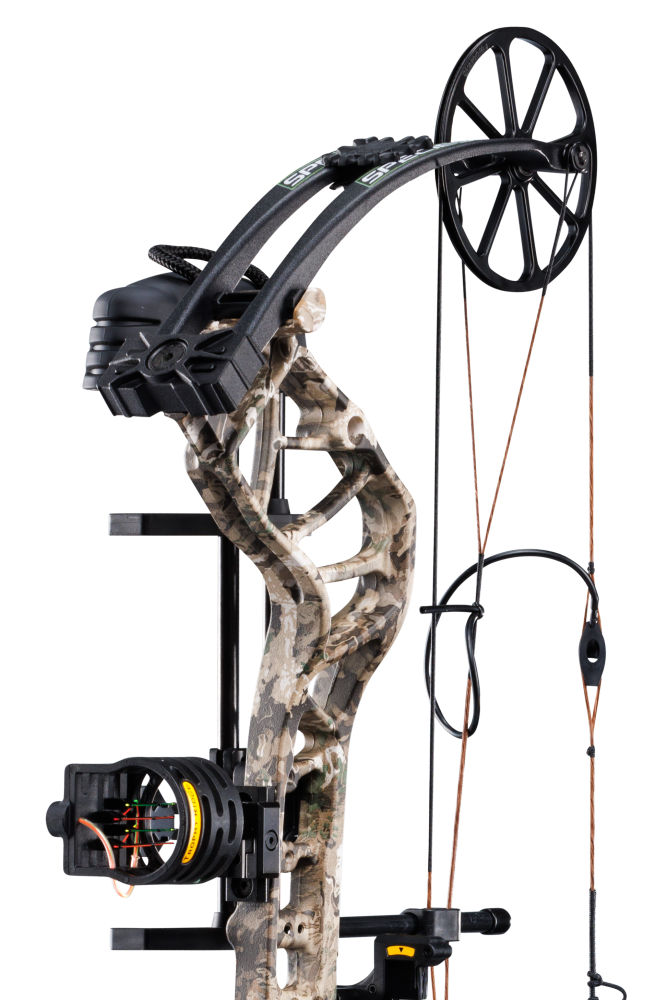 Close up of the single cam system, compound bow limbs, and picatinny sight mounting location on the Bear Species XT RTH.