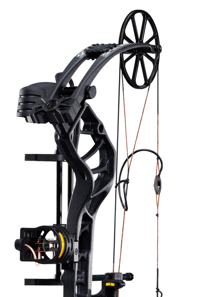 Close up of the single cam system, compound bow limbs, and picatinny sight mounting location on the Bear Species XT RTH.