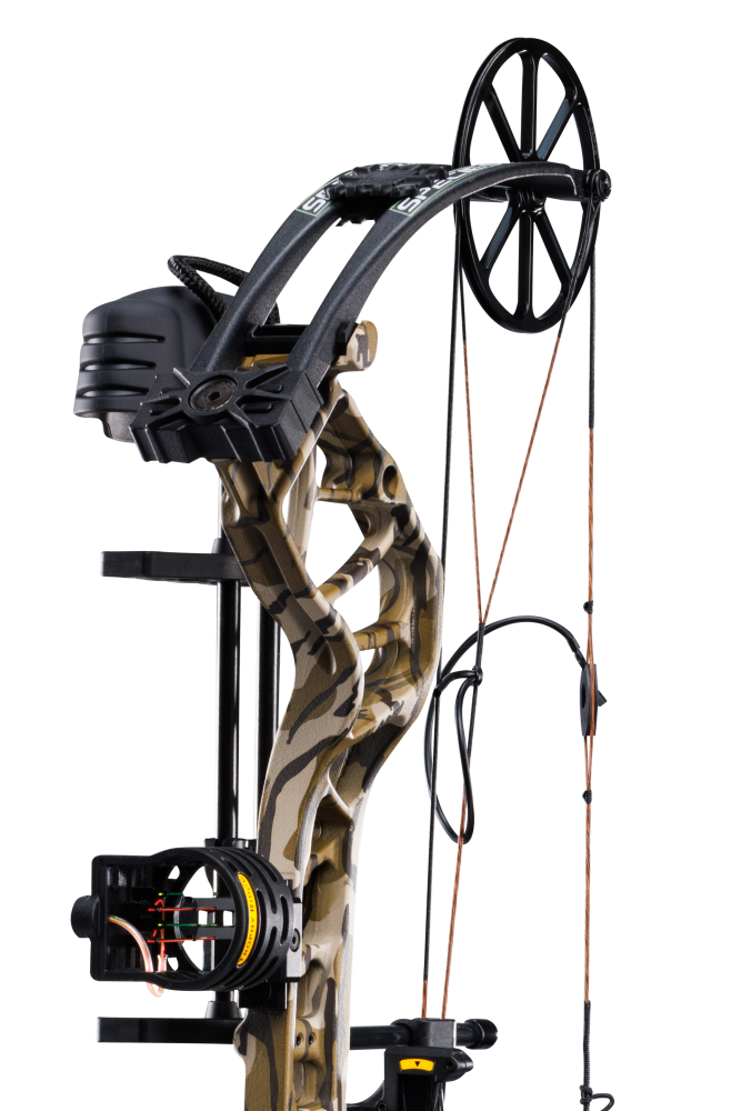 Close up of the single cam system, compound bow limbs, and picatinny sight mounting location on the Bear Species XT RTH.