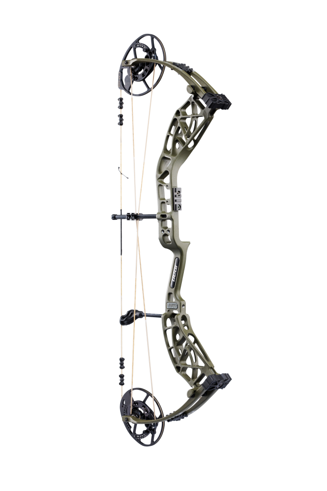 Bear Whitetail INT_10