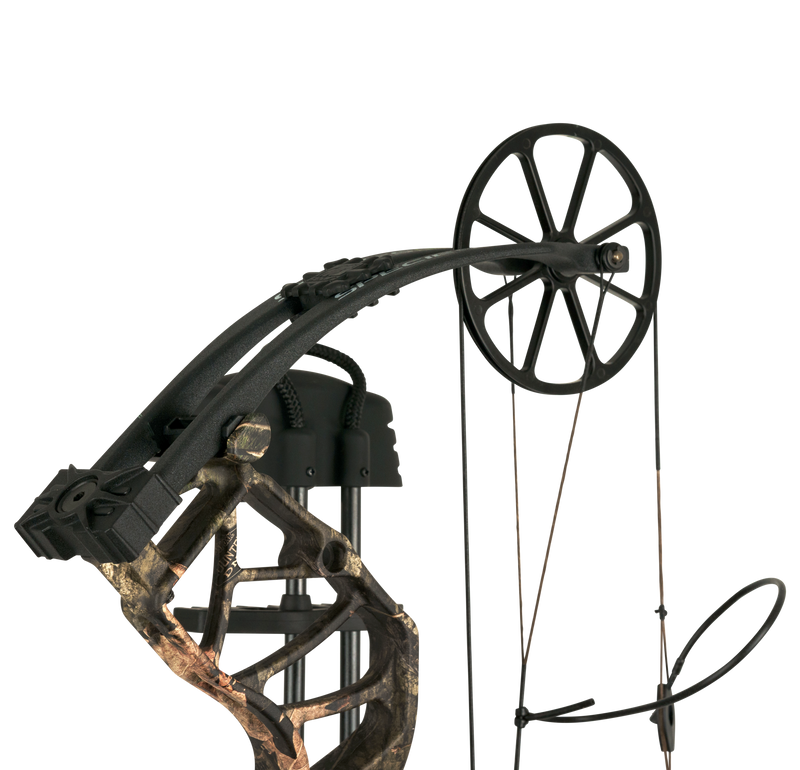 Bear Species EV RTH Extra Compound Bow - Adult_5